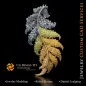 Ciondolo a foglia di felce con diamante fancy color - Jewelry 3D CAD Ciondolo a foglia di felce con diamante fancy color - Jewelry 3D CAD